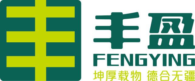 Zhumadian Fengying Industrial Co., Ltd